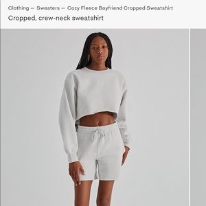 Aritzia TNA Cozy FleeceBoyfriendCropped Sweatshirt